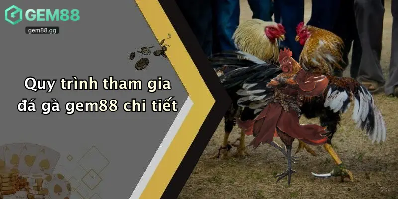 Quy trình tham gia đá gà gem88 chi tiết